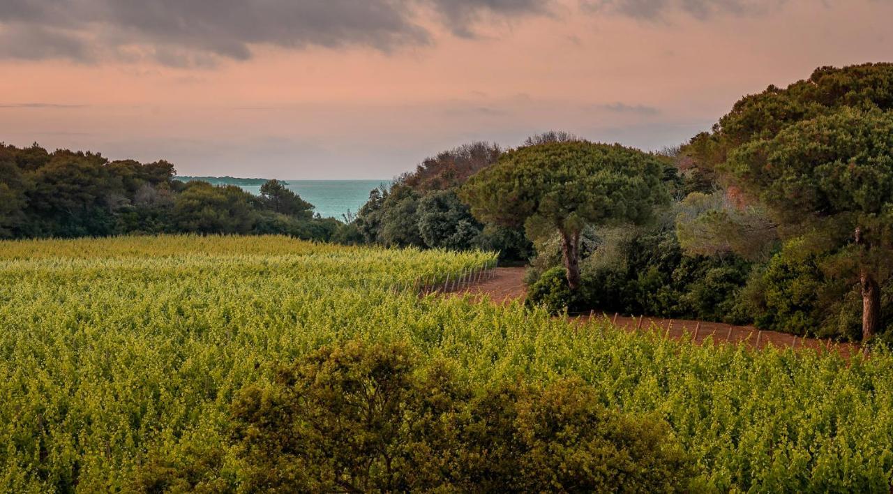 Masseria Mongio Dell'Elefante Otranto Eksteriør bilde