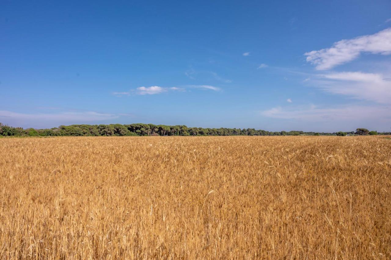 Masseria Mongio Dell'Elefante Otranto Eksteriør bilde